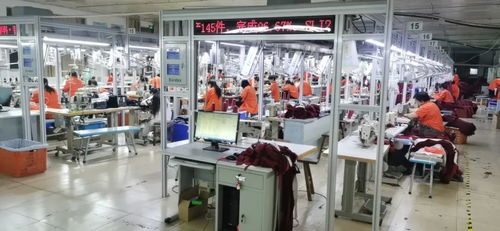 客服火線入職備戰天貓雙11，流水線24小時趕工，不夜廠點亮江蘇咨詢策劃服務